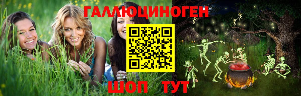 Галлюциногенные грибы Psilocybe  Вход с VPN  Калач-на-Дону 
