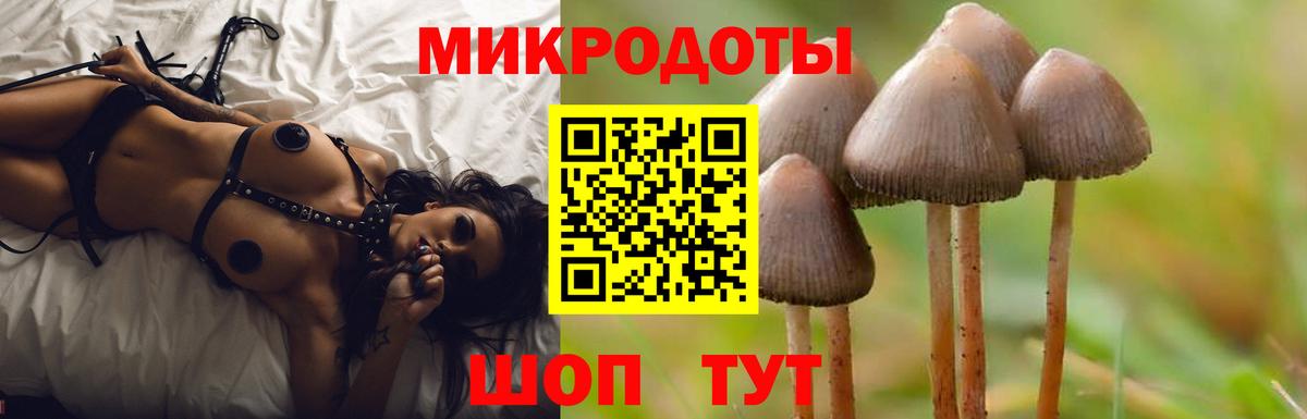 Галлюциногенные грибы прущие грибы Калач-на-Дону